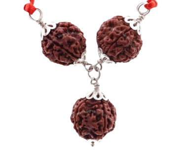 6.7.8 Mukhi Rudraksha